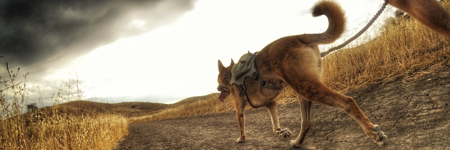 Darren Hallihan banner