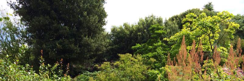 Leila Chami ❤️🇬🇧 banner