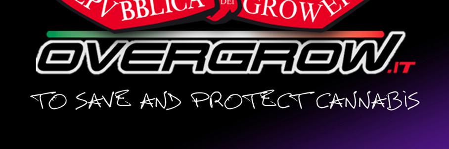 OverGrowIt's profile banner image