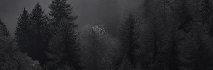 itskarlbz's profile banner image
