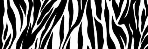 desitadiny's profile banner image
