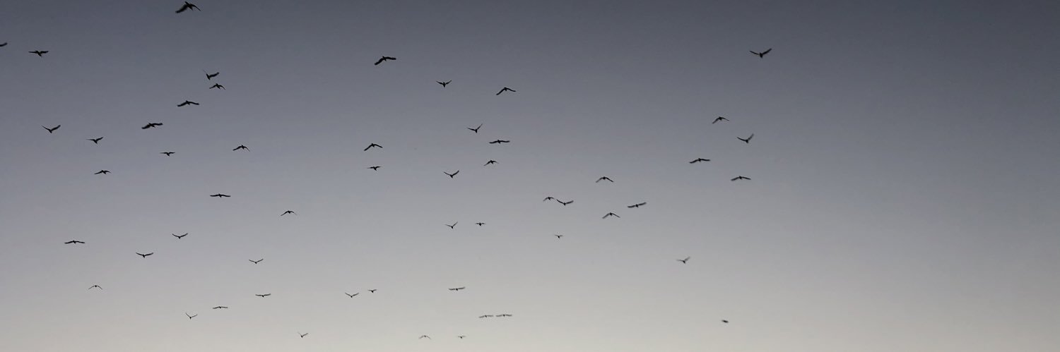 Christopher Evans banner