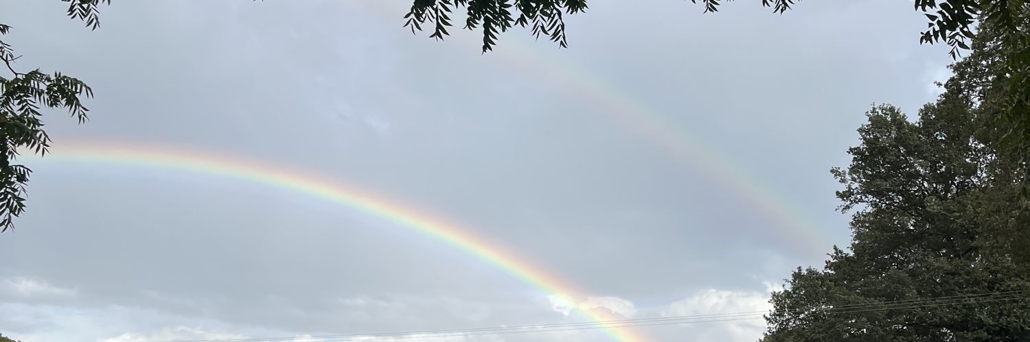 thvyspln's profile banner image
