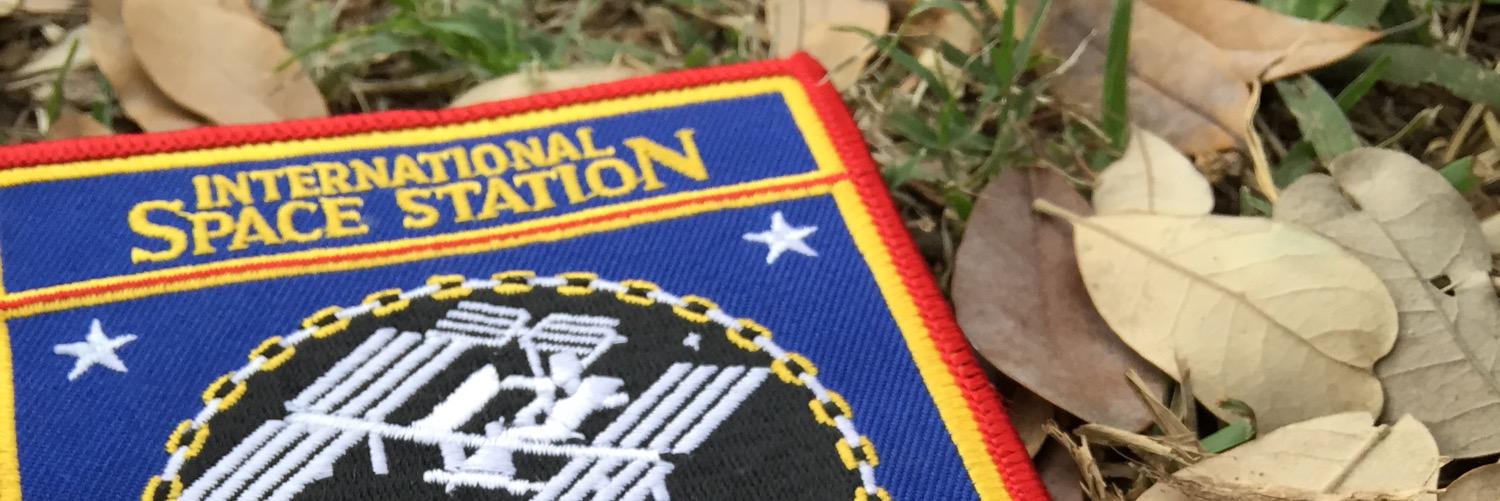 Chicks In Space banner