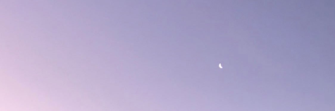 fflllorencia's profile banner image