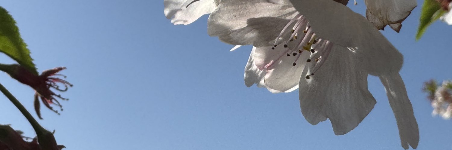 ぷら(plant) banner