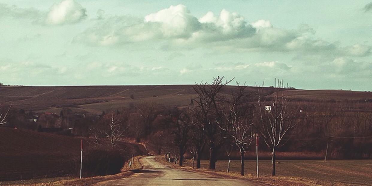 Modisaurus's profile banner image