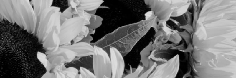 LucasMonclaire's profile banner image