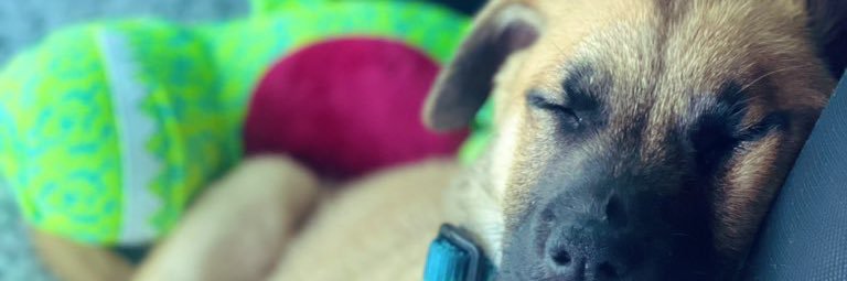 maddy877's profile banner image