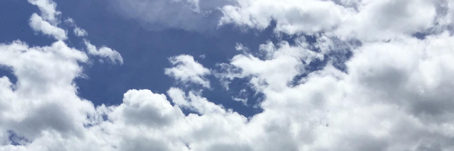 asvicaza's profile banner image