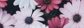 ruslinherrera's profile banner image