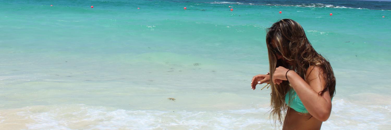 ncaroselli_'s profile banner image