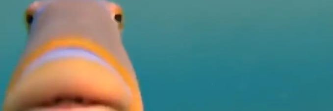 FishyAccounting's profile banner image