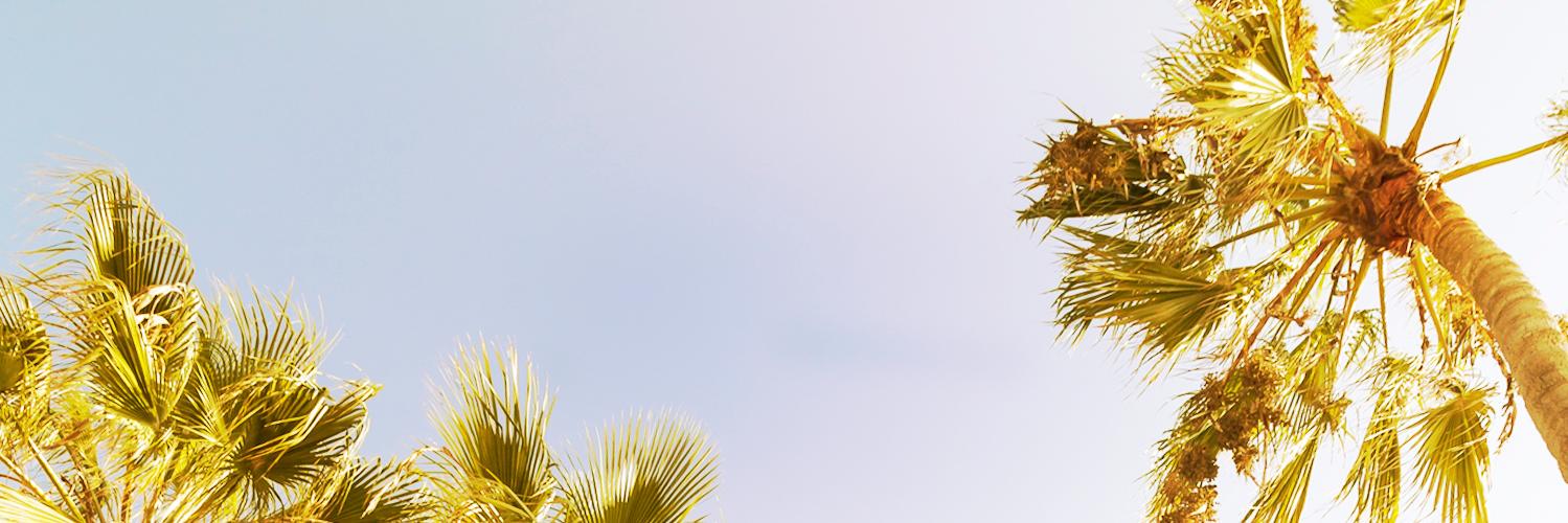 LTMDigital's profile banner image