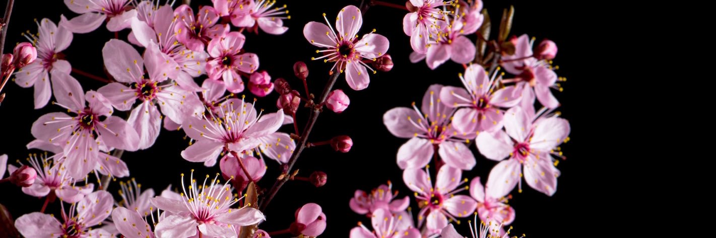 ItsAndrewa's profile banner image