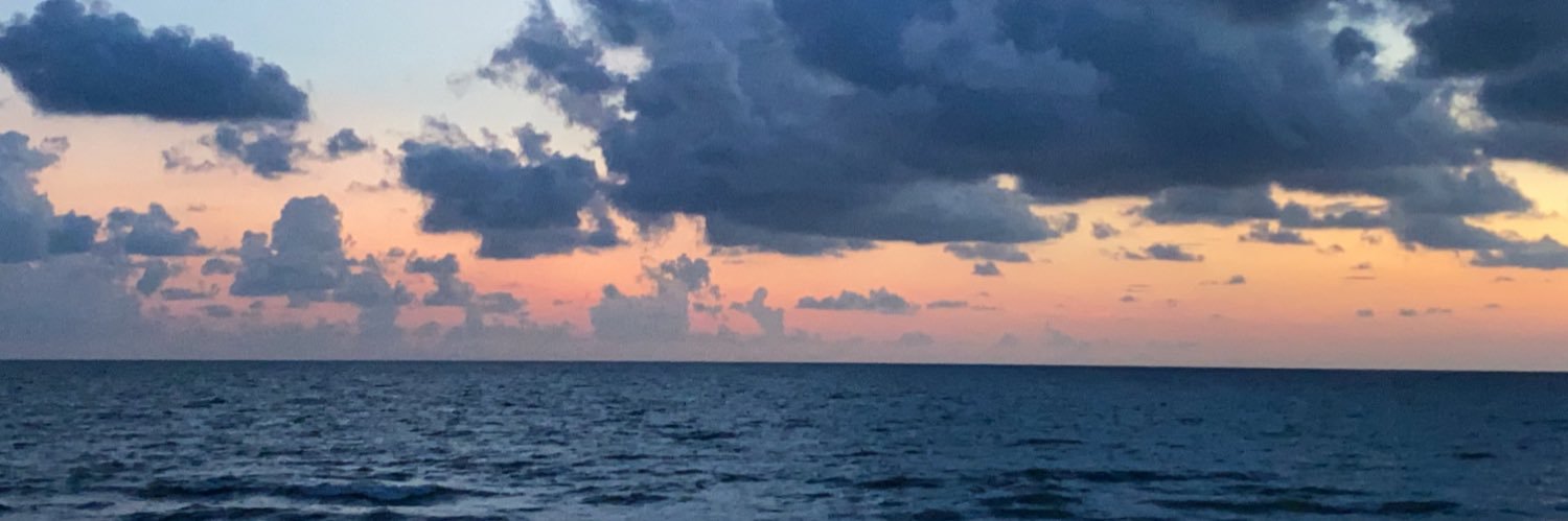 Allison Behne banner