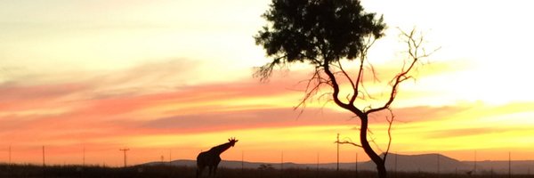 sper27 Profile Banner