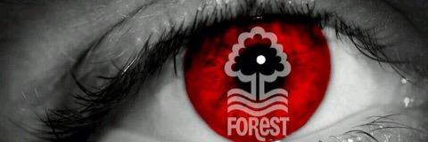 Forestnut's profile banner image