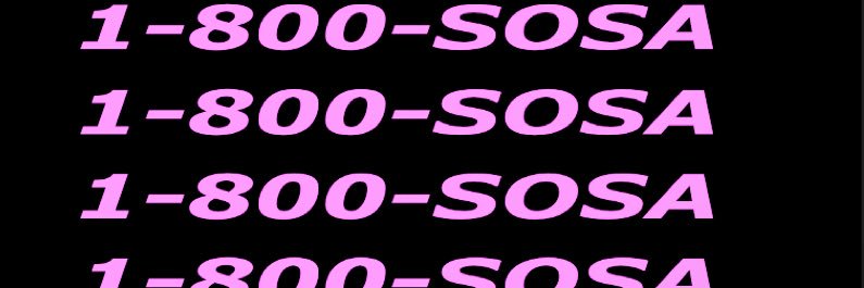 Dee Sosa banner
