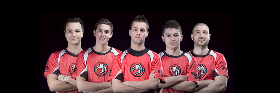 Fr0xy banner