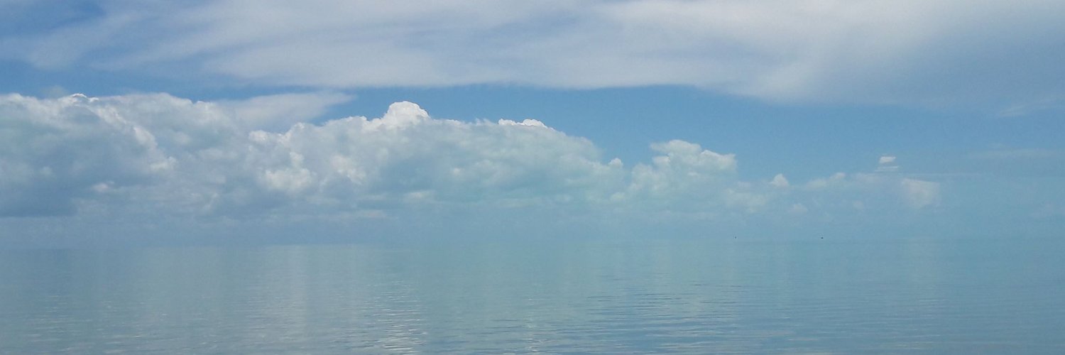_Pemo_'s profile banner image