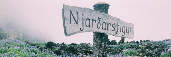 xMetroEth Profile Banner