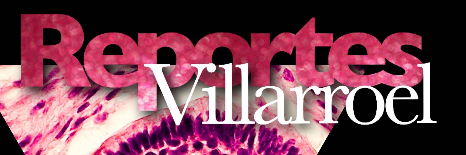 Reportes Villarroel banner