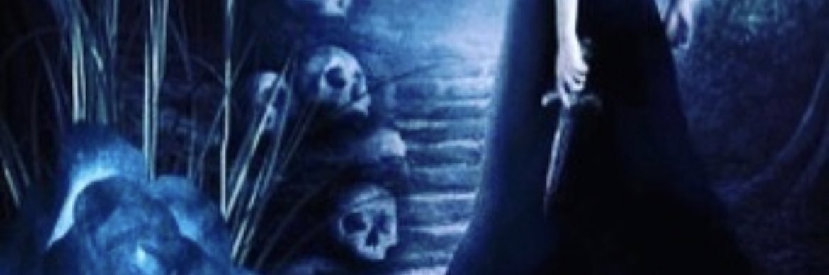 teribearsta's profile banner image