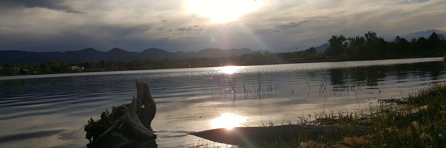 LittleMoth85's profile banner image