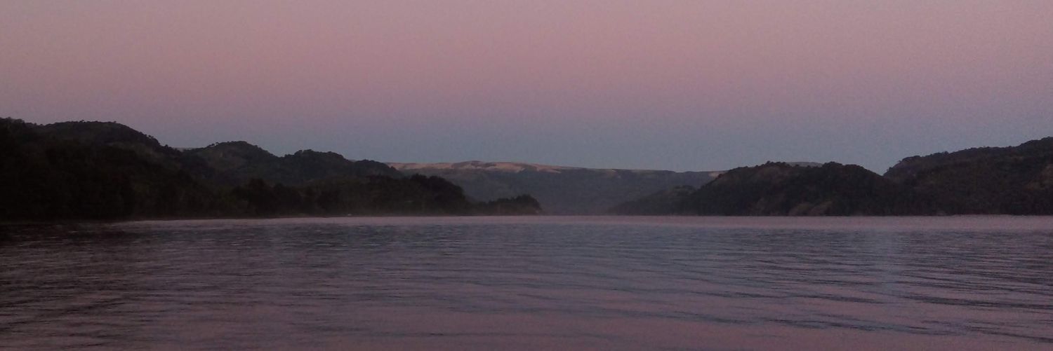 emiliarriaga's profile banner image