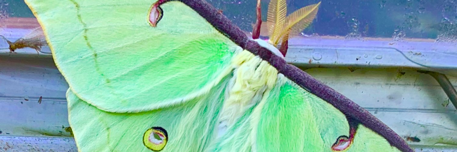fundbalance's profile banner image