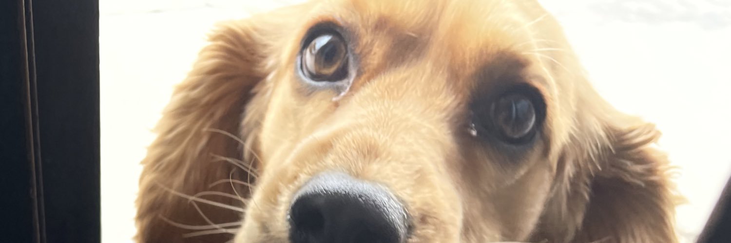 urielopez12's profile banner image