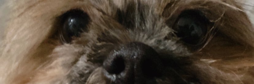 Alyssadzn's profile banner image