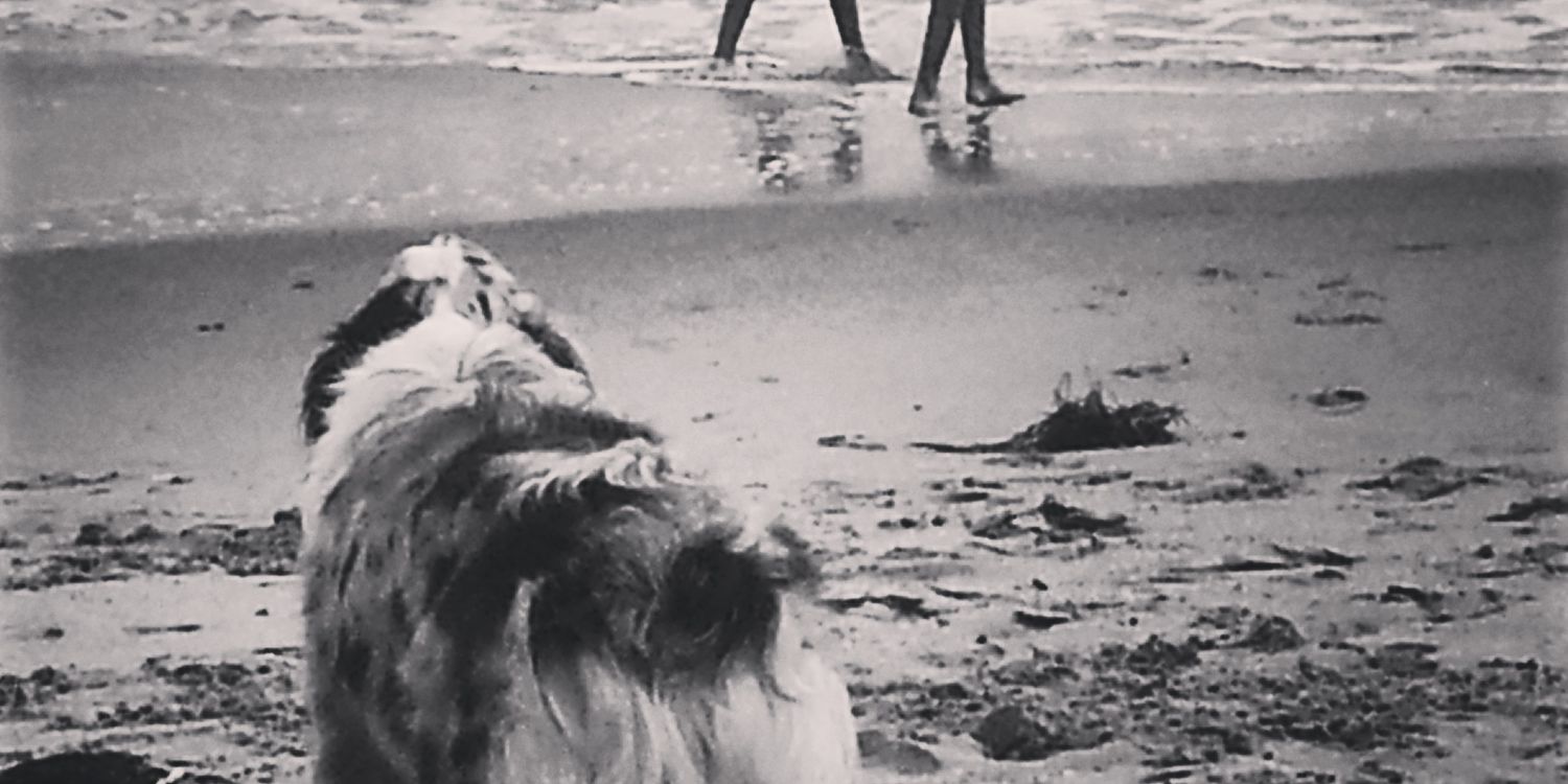 Chris Perillo banner