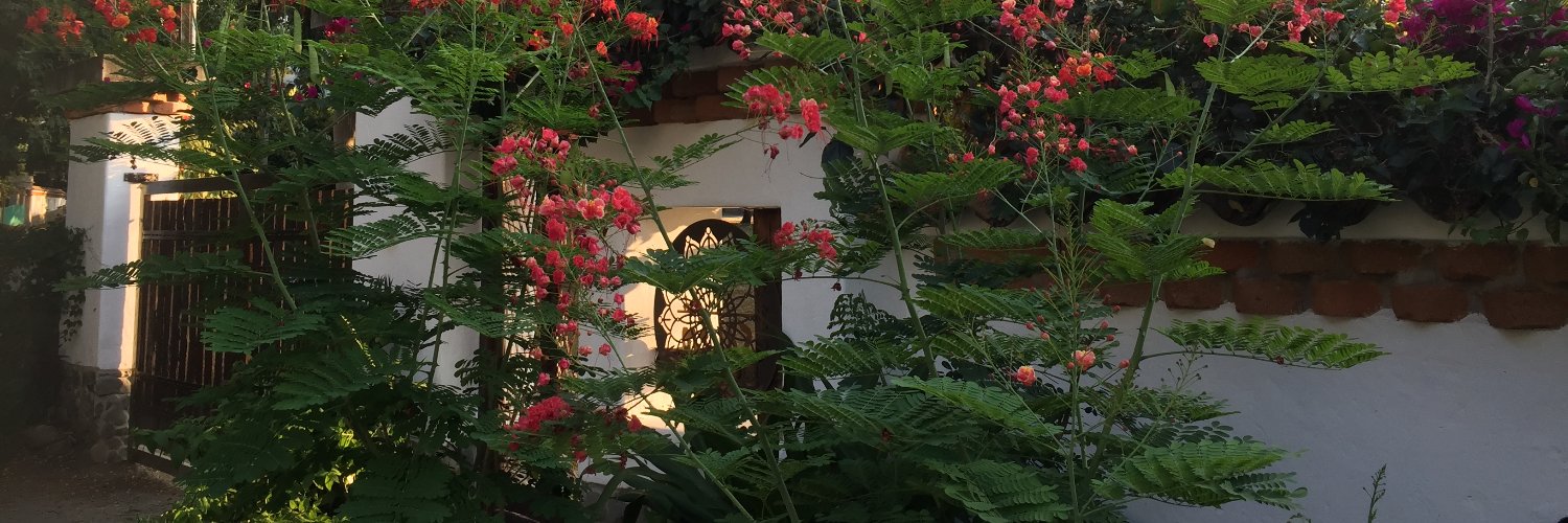 johuarga's profile banner image