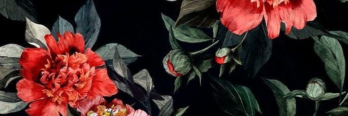 Caarletaah's profile banner image