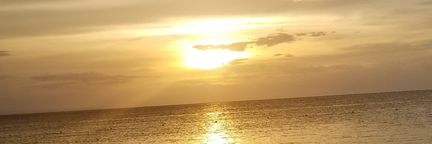 iam_CSL's profile banner image