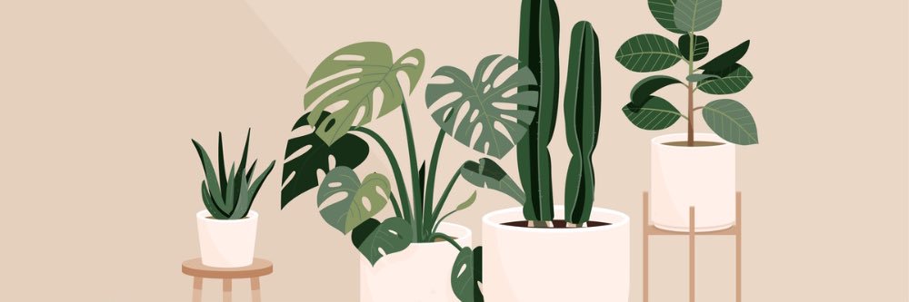 emilafortune's profile banner image