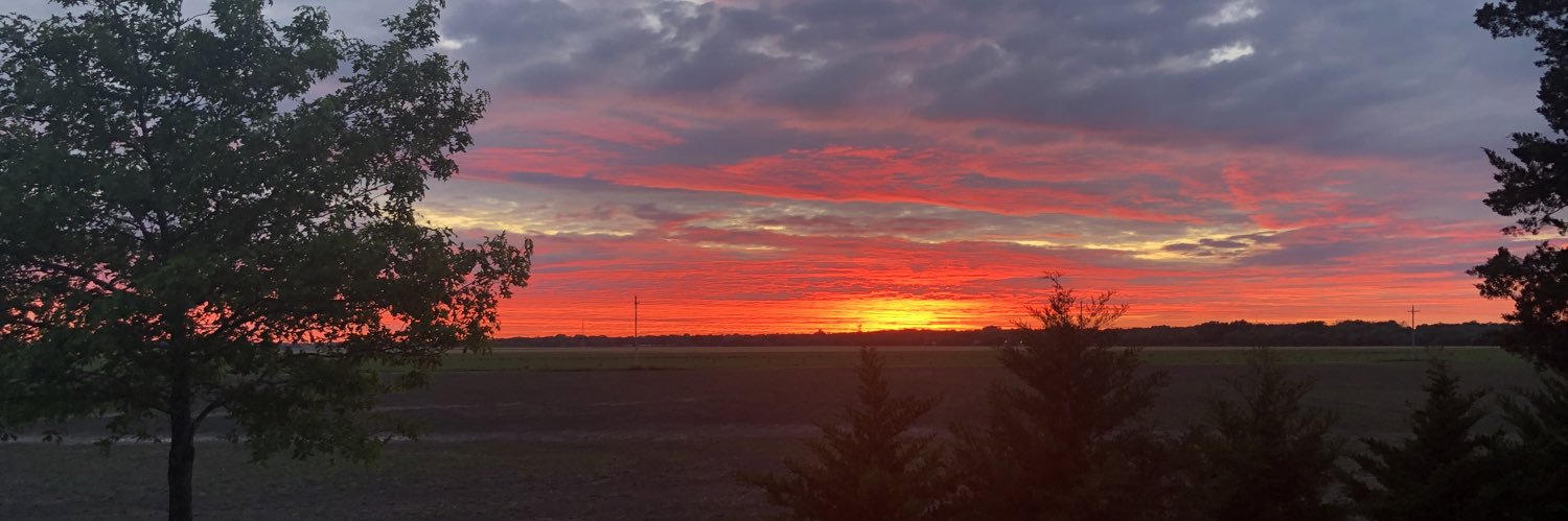 Collin Sexton banner