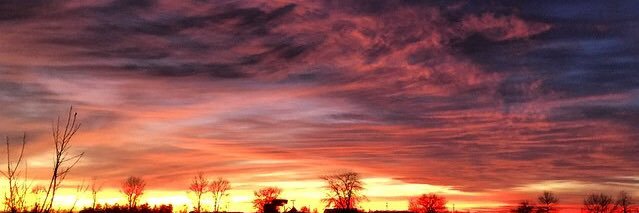 Robert A. Bell banner