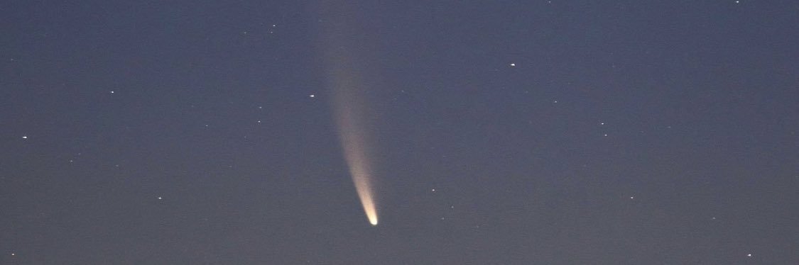 Frenchie Farts banner