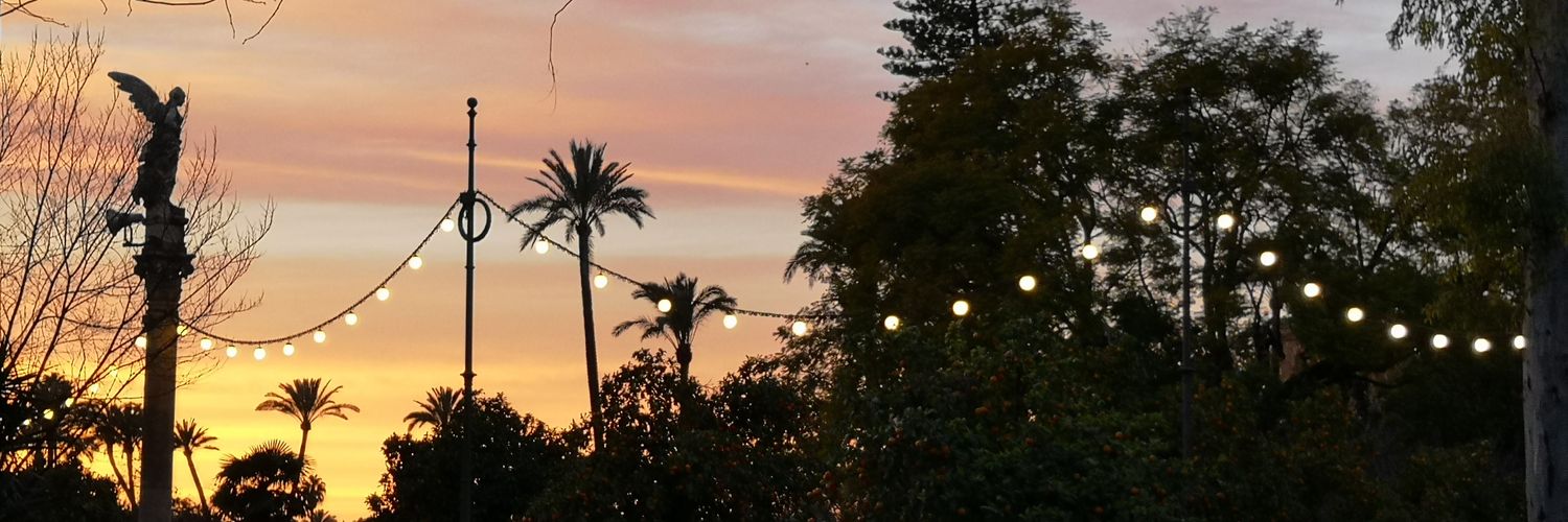 laCarmen72's profile banner image
