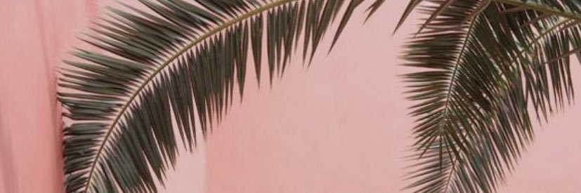 _styleangel's profile banner image