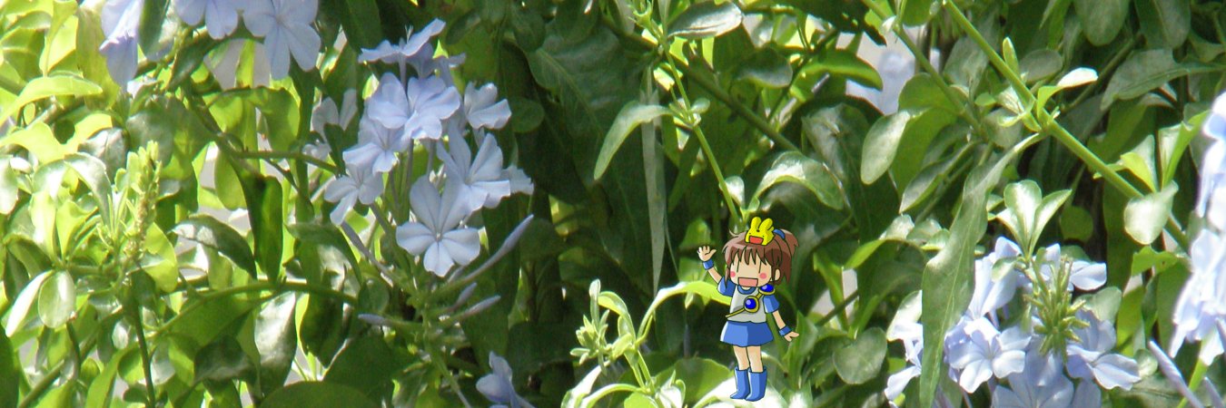 kasiro7's profile banner image