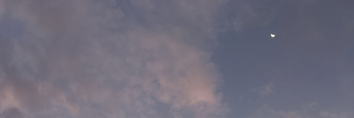 stephcfink's profile banner image