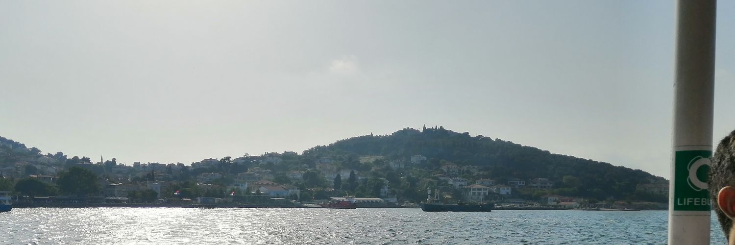ayskzll's profile banner image