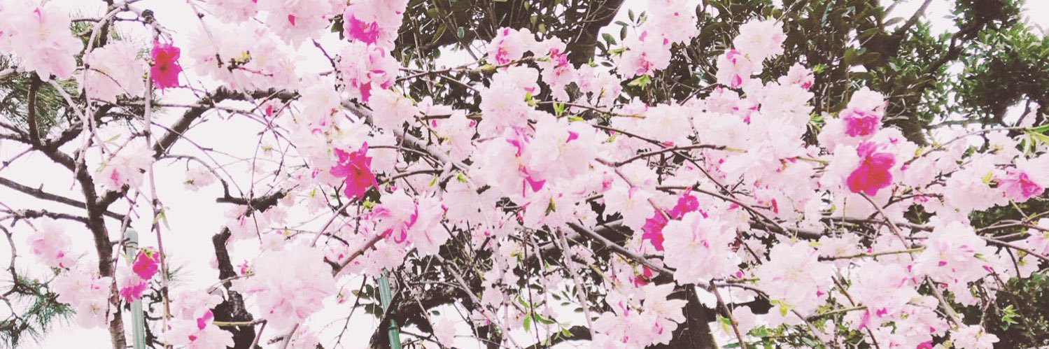 C o c o 🌷 banner