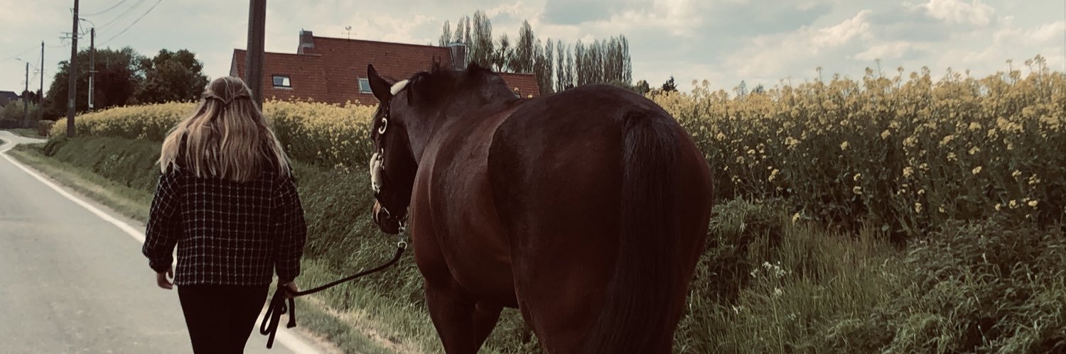 maevalvt's profile banner image
