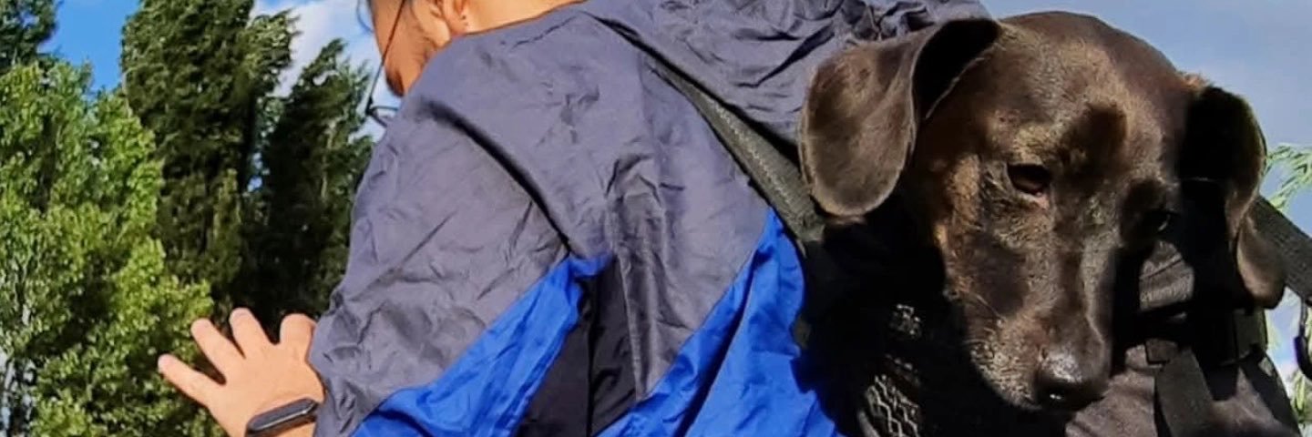 acortesvalenz's profile banner image