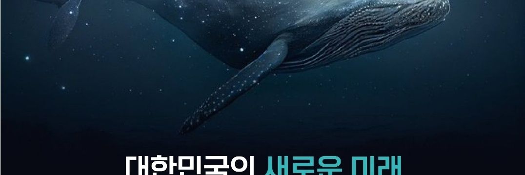 mkrin_0821's profile banner image